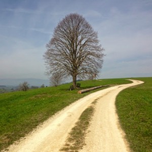 download_20140504_155111